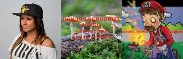 мяу мяу мука Армянск