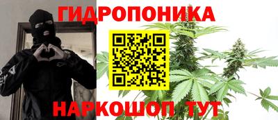 2c-b Бийск