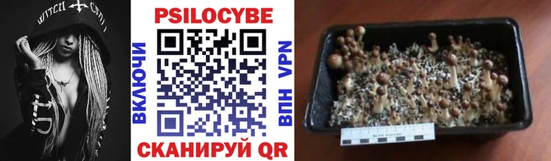 Псилоцибиновые грибы ЛСД  Гурьевск 