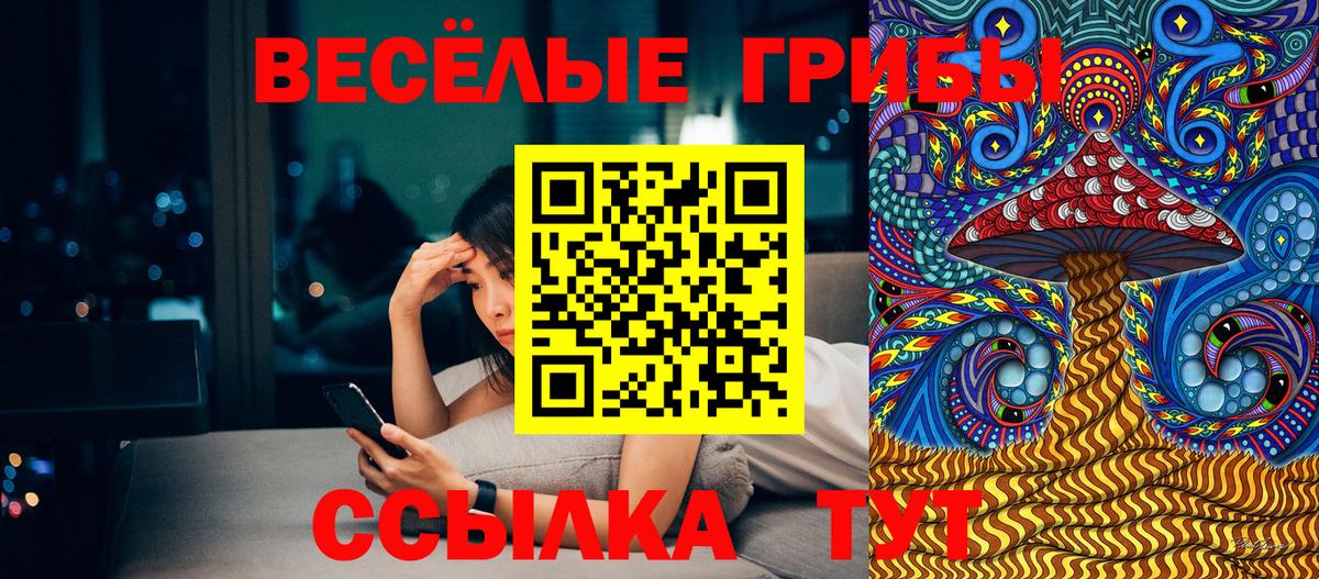 купить   Псилоцибиновые грибы мицелий  Вход с VPN  Гурьевск 